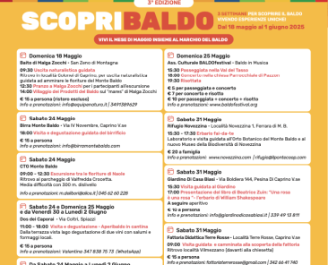 Schermata 2025-05-17 alle 10.36.06